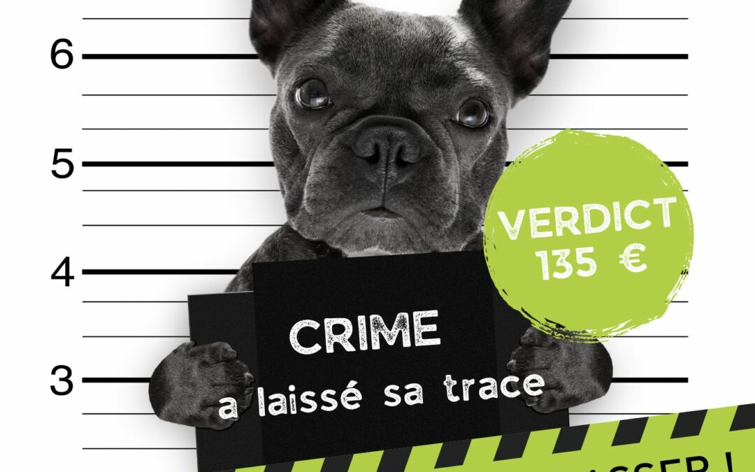 Avis du Maire