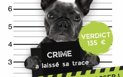 Avis du Maire